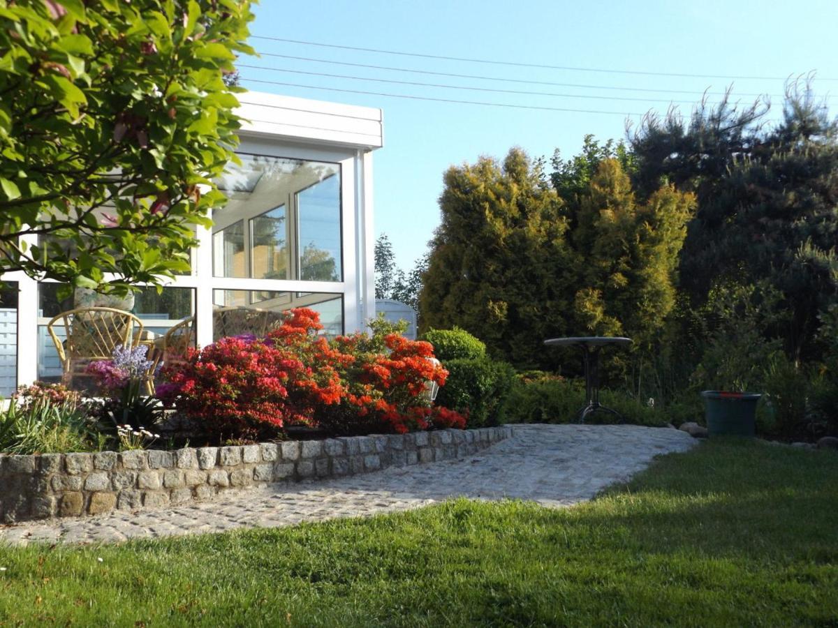 Cosy Apartment With In Pirna With Private Terrace Room photo